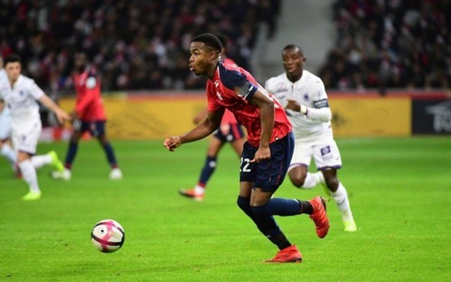 还能在未来 还能在未来